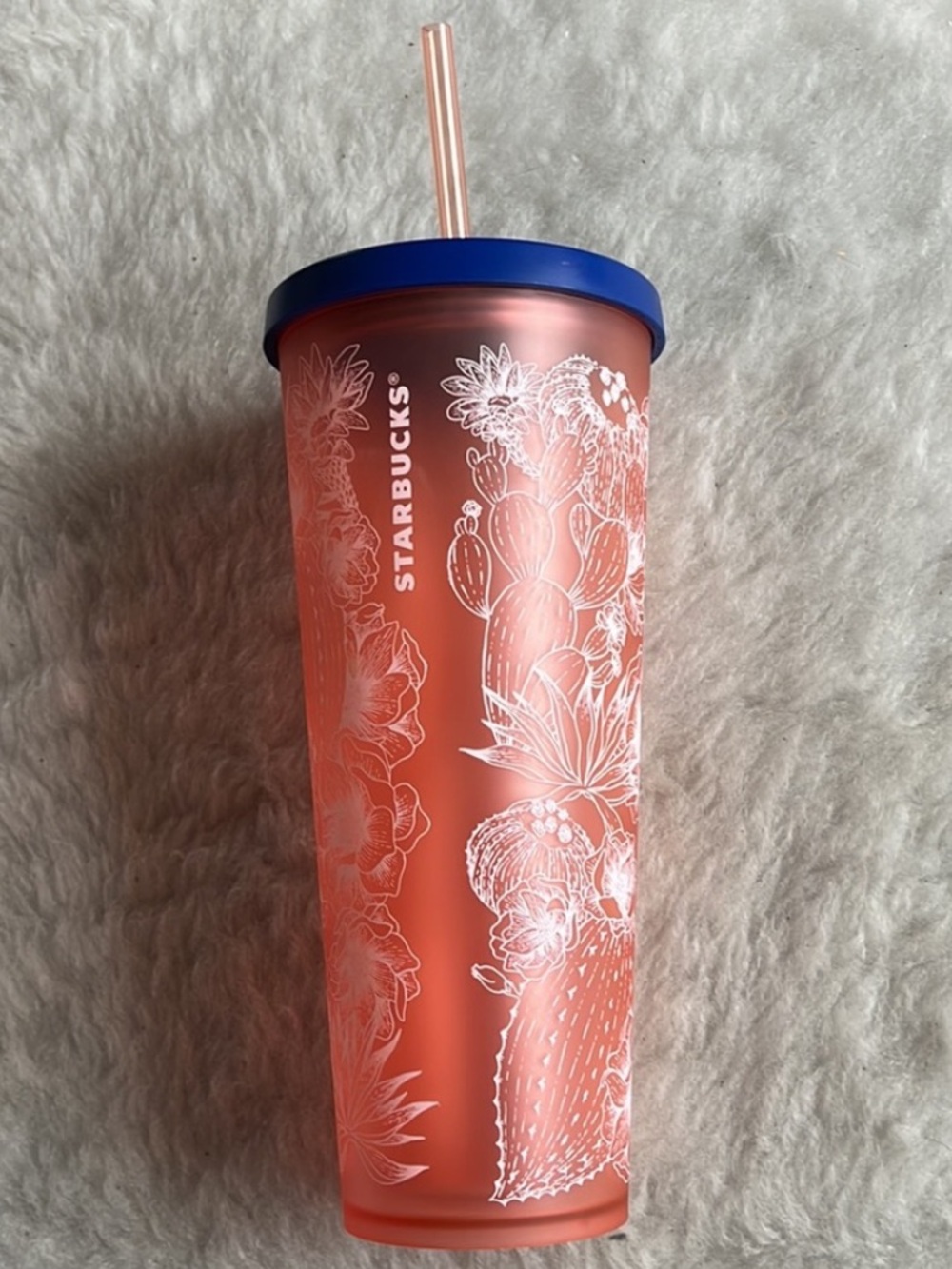 Starbucks summer 2019 24 oz cold cup matte coral pink cactus desert blue lid